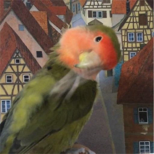 f:id:aufheben1007:20180309160900j:image