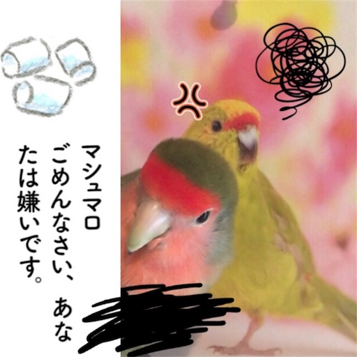 f:id:aufheben1007:20180314083924j:image