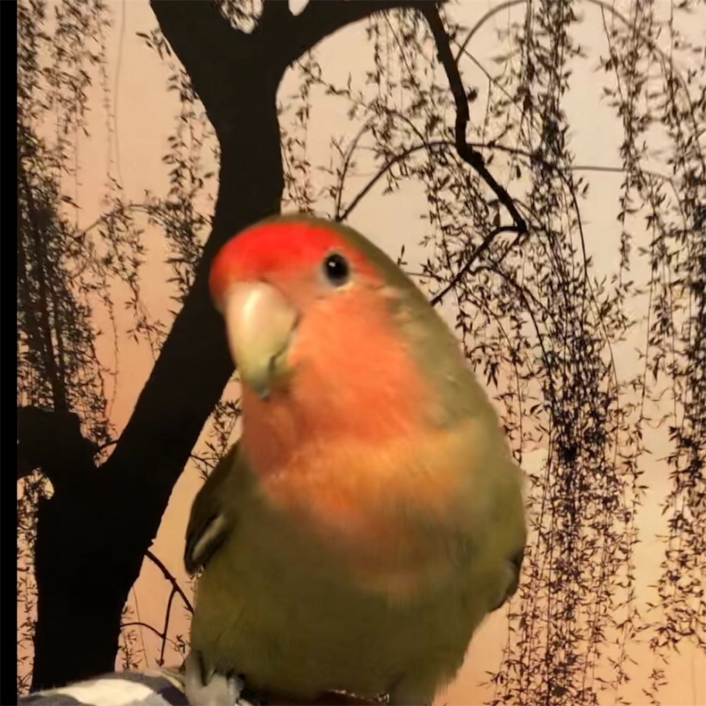 f:id:aufheben1007:20180918132012j:image