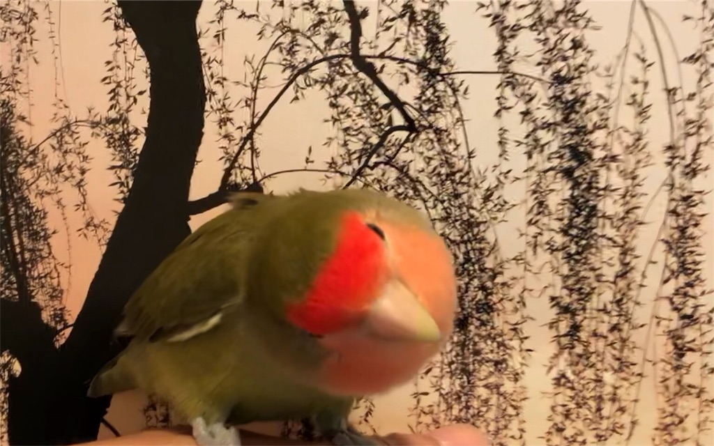 f:id:aufheben1007:20180918132027j:image