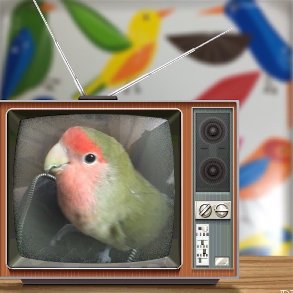 f:id:aufheben1007:20181101230715j:image