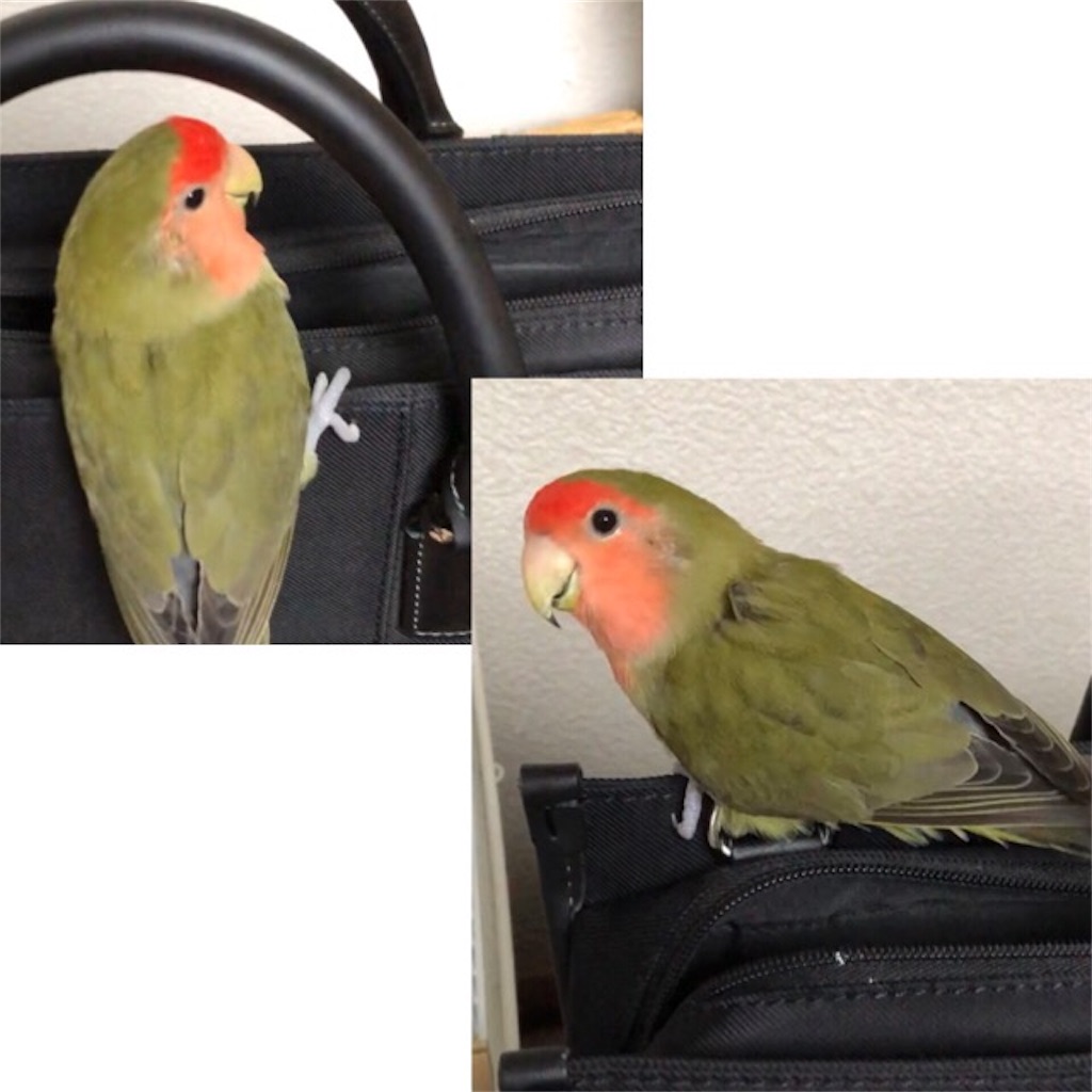 f:id:aufheben1007:20181102231351j:image