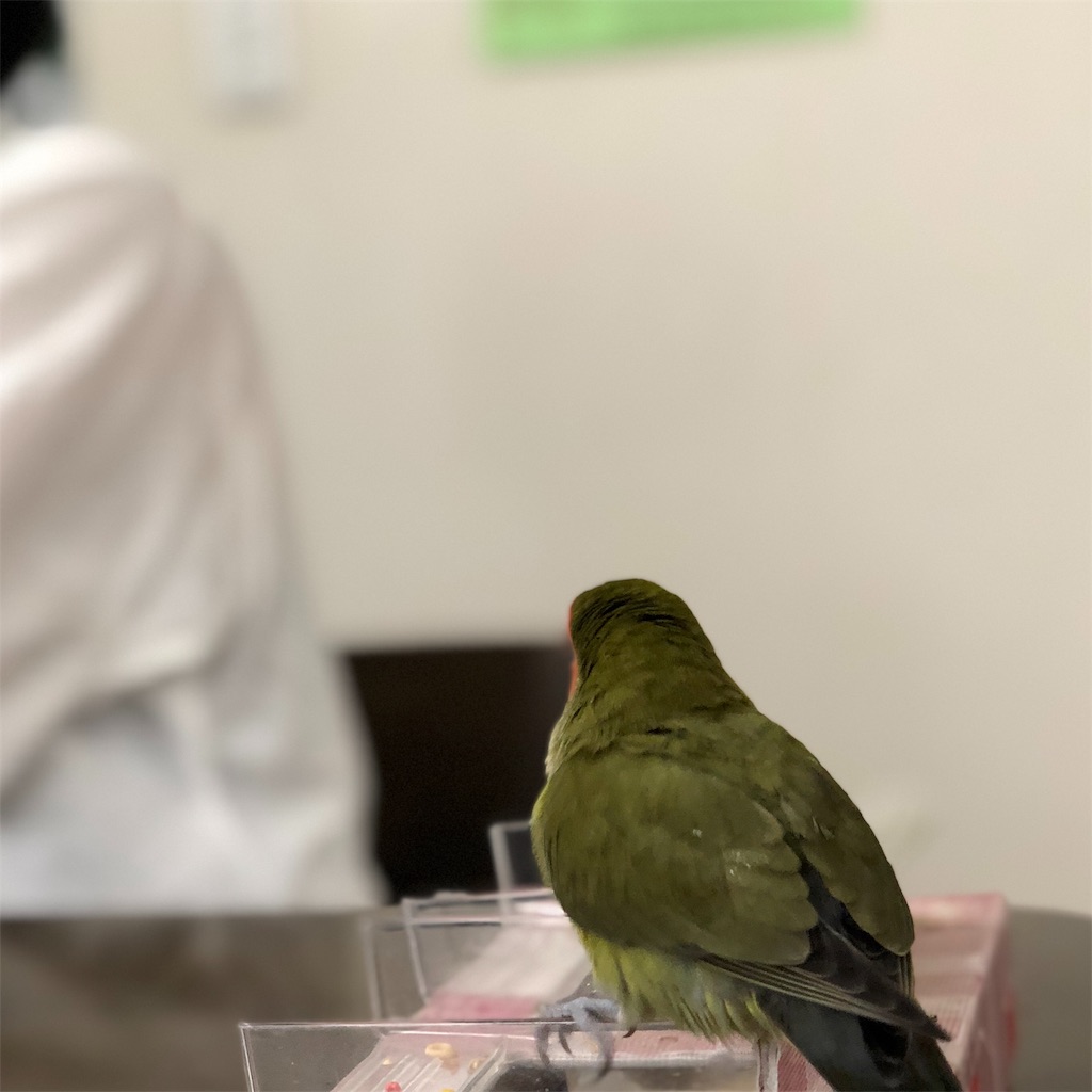 f:id:aufheben1007:20181112221326j:image