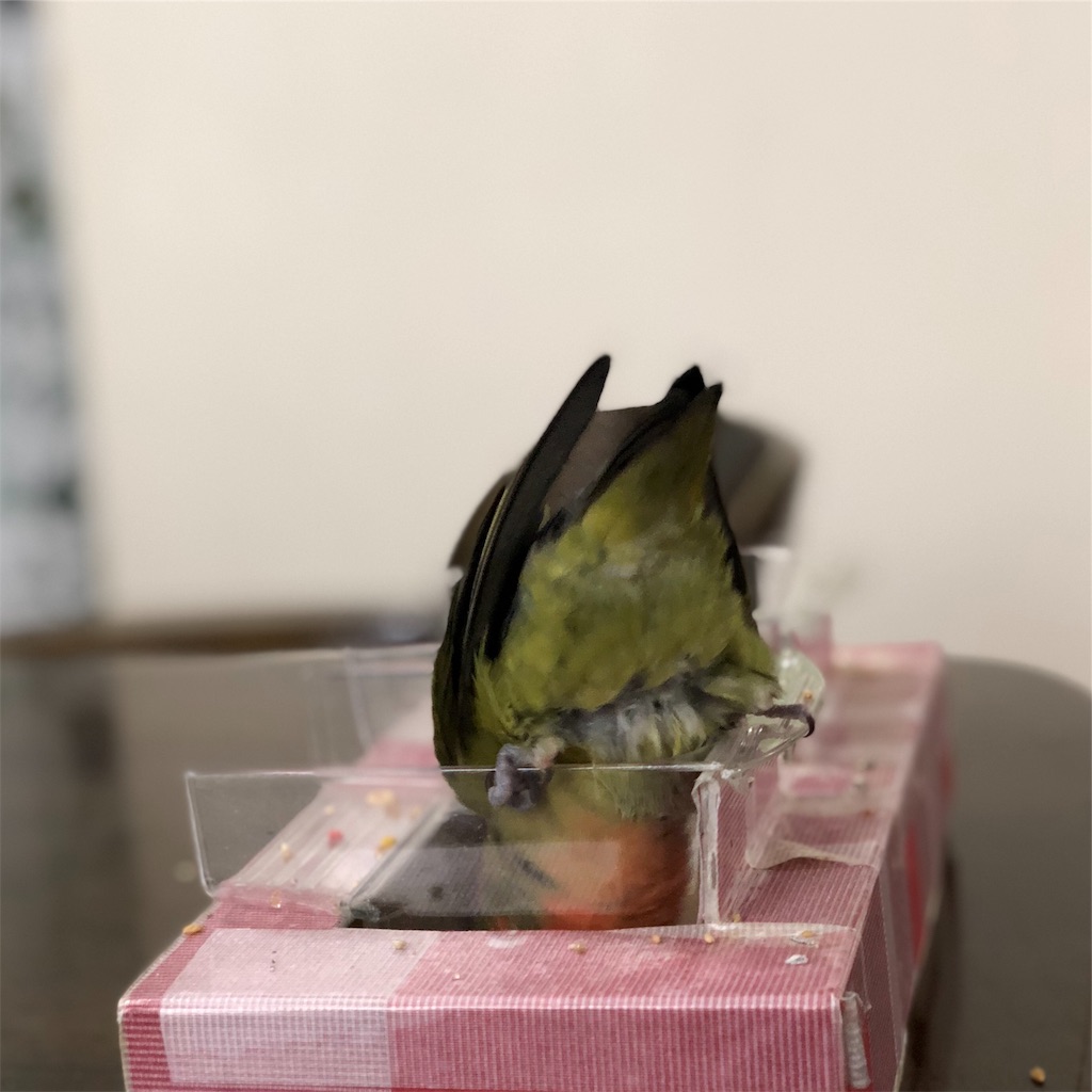 f:id:aufheben1007:20181112221338j:image