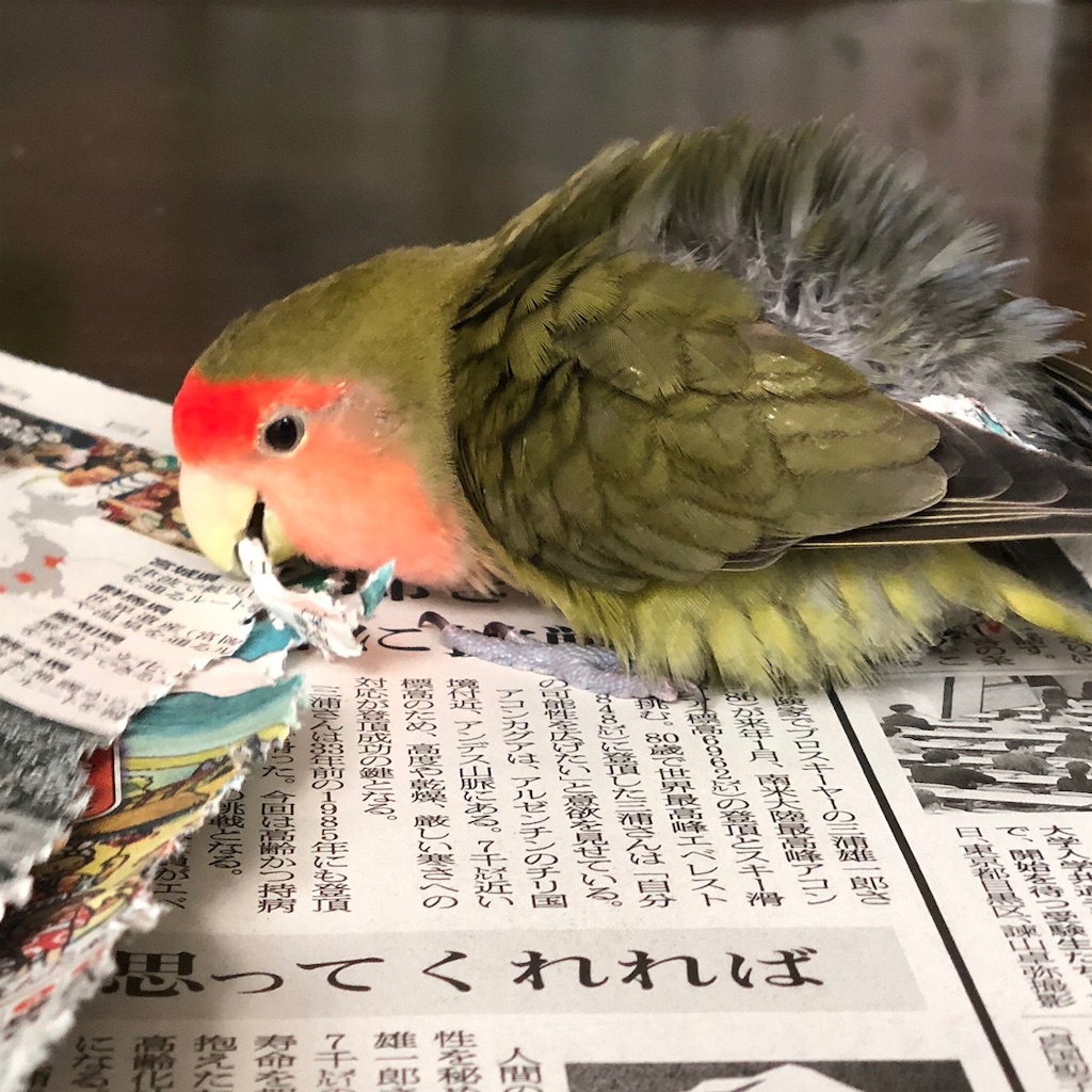 f:id:aufheben1007:20181112221343j:image