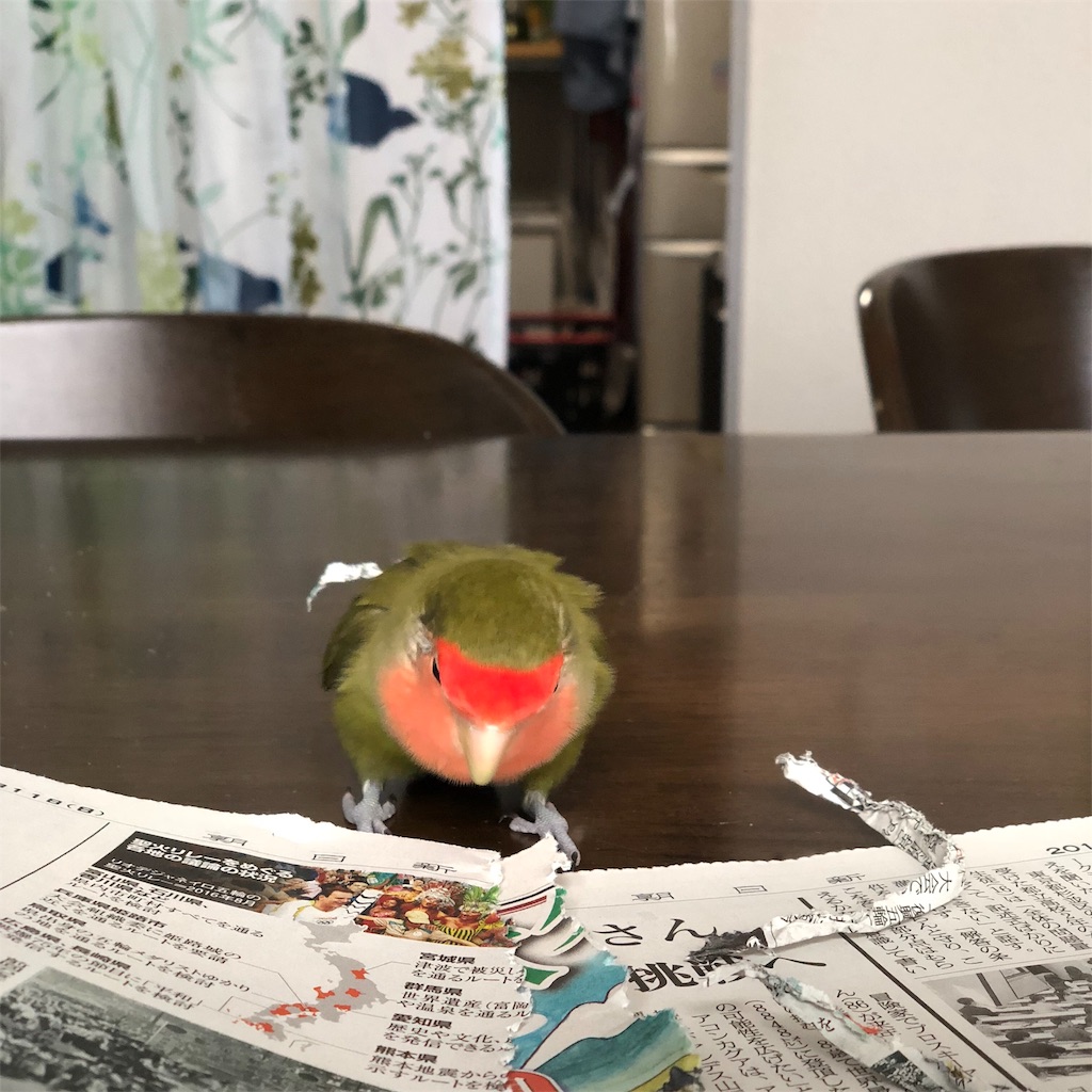 f:id:aufheben1007:20181112223825j:image