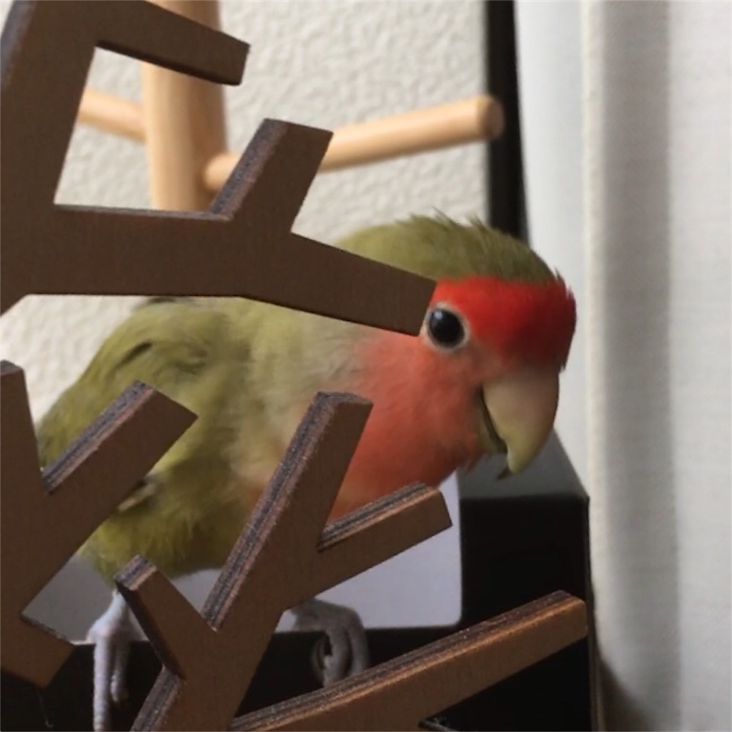 f:id:aufheben1007:20181121183935j:image