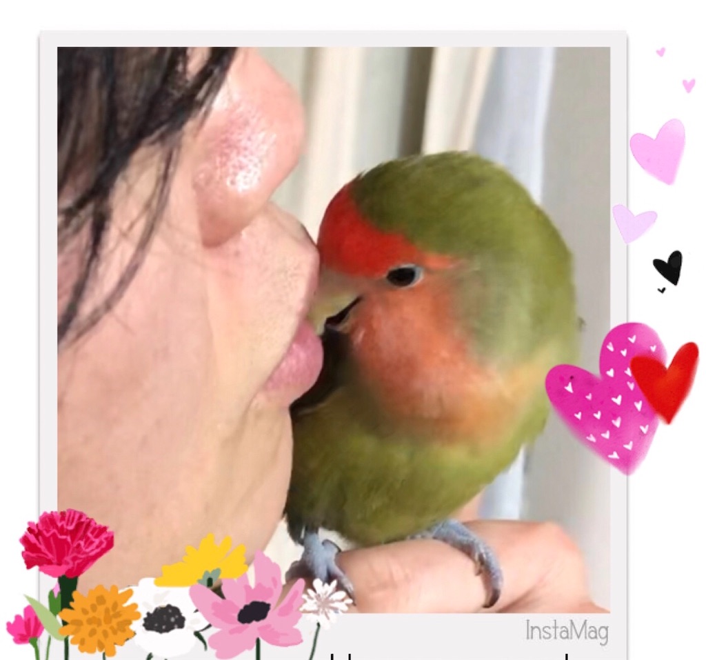 f:id:aufheben1007:20190512060523j:image