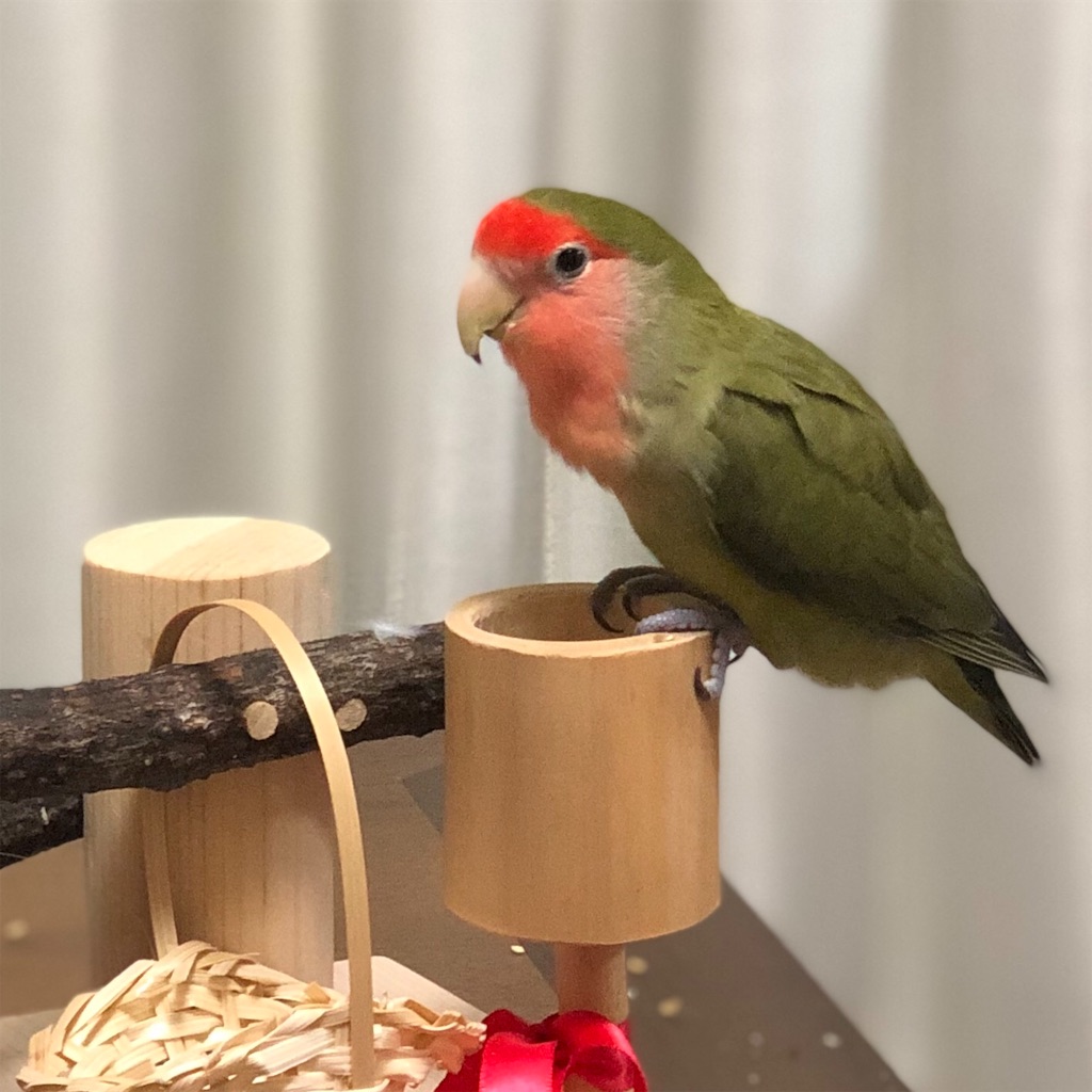 f:id:aufheben1007:20190722191236j:image
