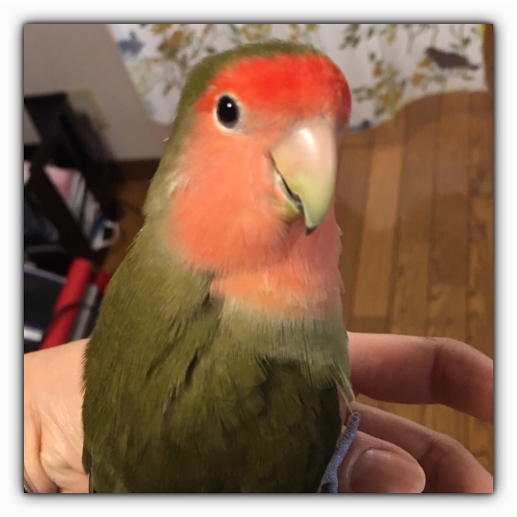f:id:aufheben1007:20190722213745j:image