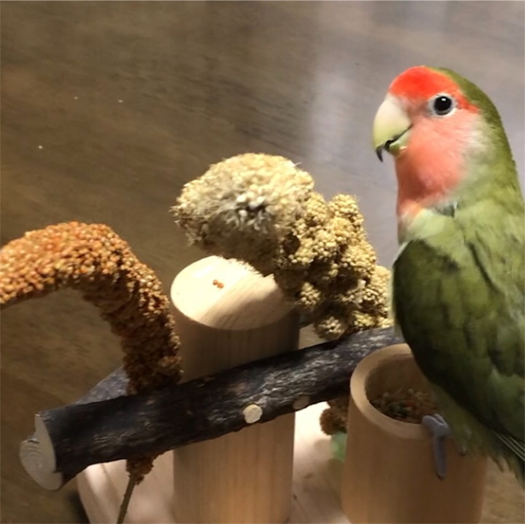 f:id:aufheben1007:20190812181514j:image