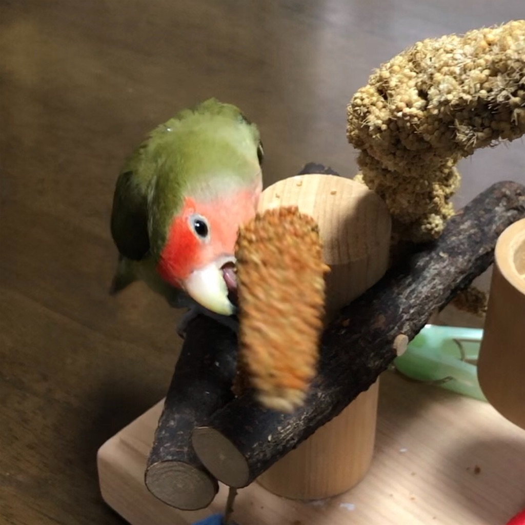 f:id:aufheben1007:20190812181539j:image