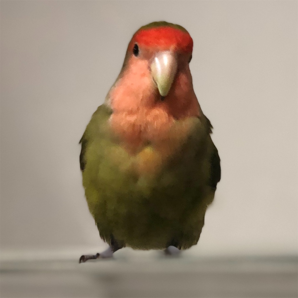 f:id:aufheben1007:20190812183349j:image