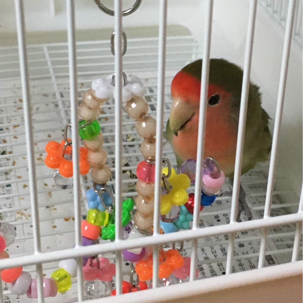 f:id:aufheben1007:20190815140221j:image f:id:aufheben1007:20190815140221j:image