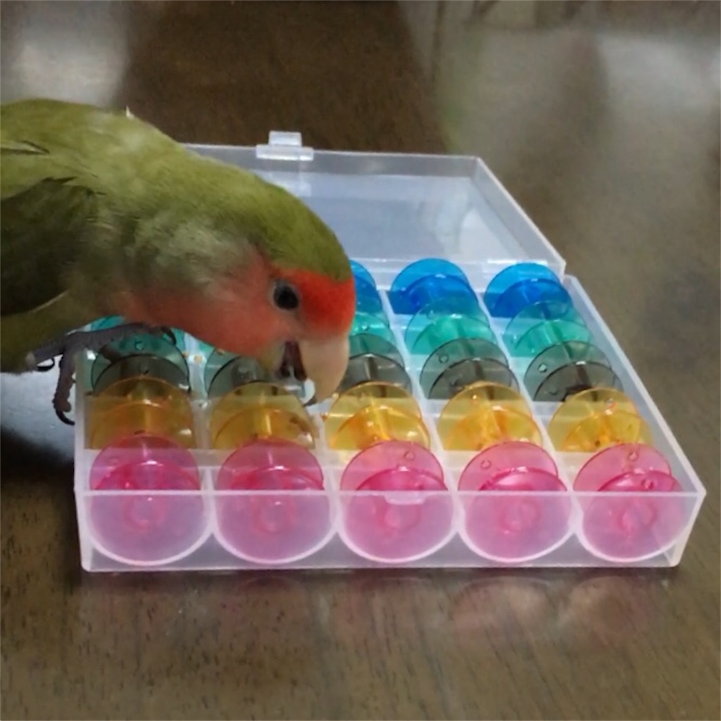 f:id:aufheben1007:20190815141433j:image f:id:aufheben1007:20190815141433j:image