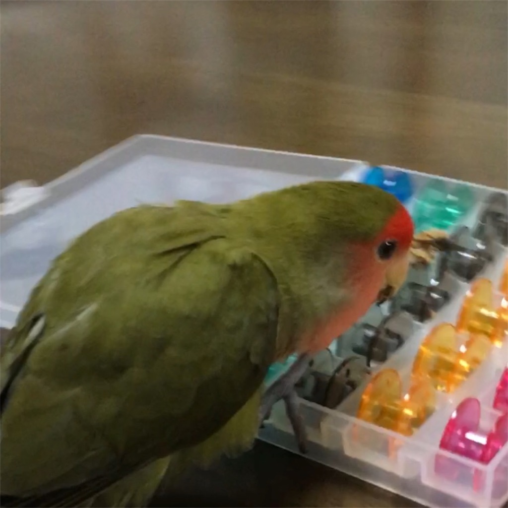 f:id:aufheben1007:20190815141438j:image f:id:aufheben1007:20190815141438j:image