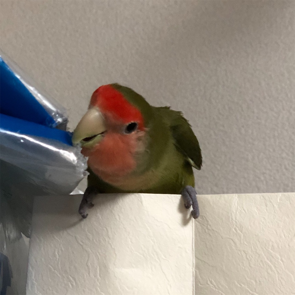 f:id:aufheben1007:20190821230019j:image