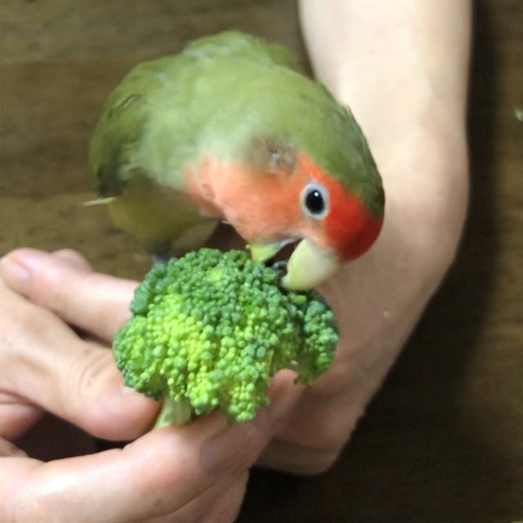 f:id:aufheben1007:20190827181824j:image