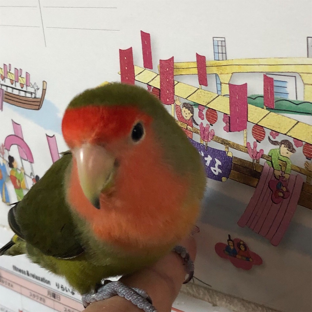 f:id:aufheben1007:20200305190237j:image