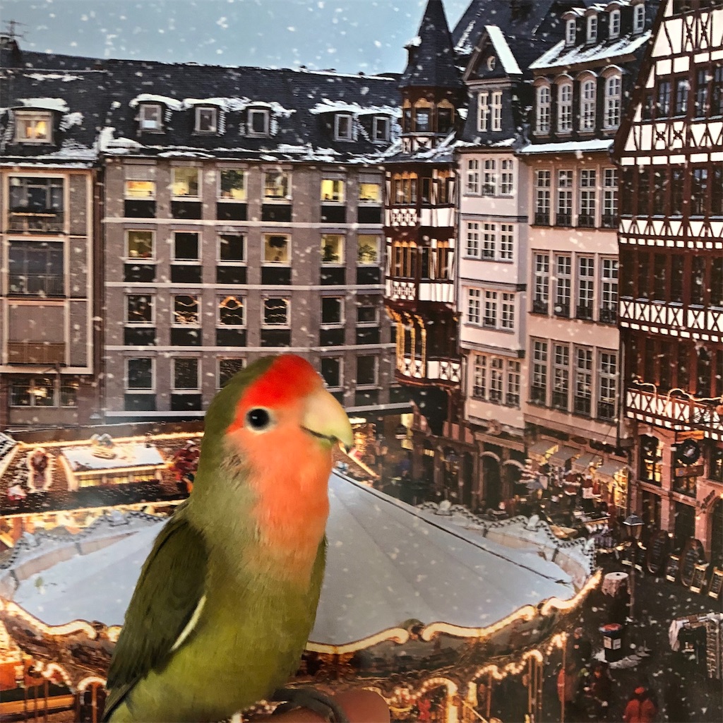 f:id:aufheben1007:20200329190406j:image f:id:aufheben1007:20200329190406j:image