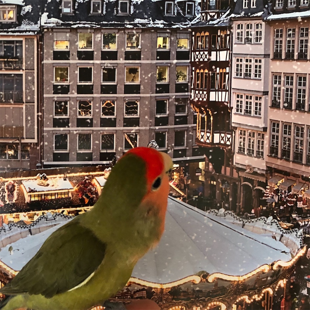 f:id:aufheben1007:20200329190413j:image f:id:aufheben1007:20200329190413j:image