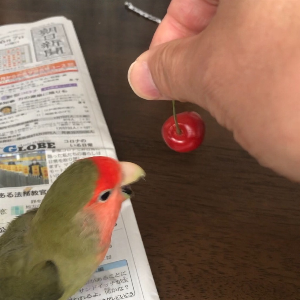 f:id:aufheben1007:20200607125450j:image