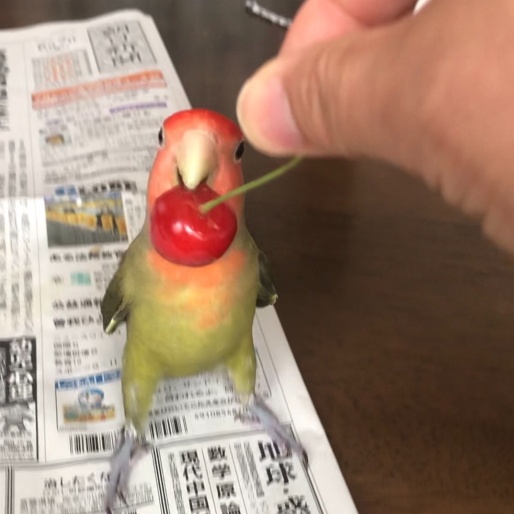 f:id:aufheben1007:20200607125454j:image