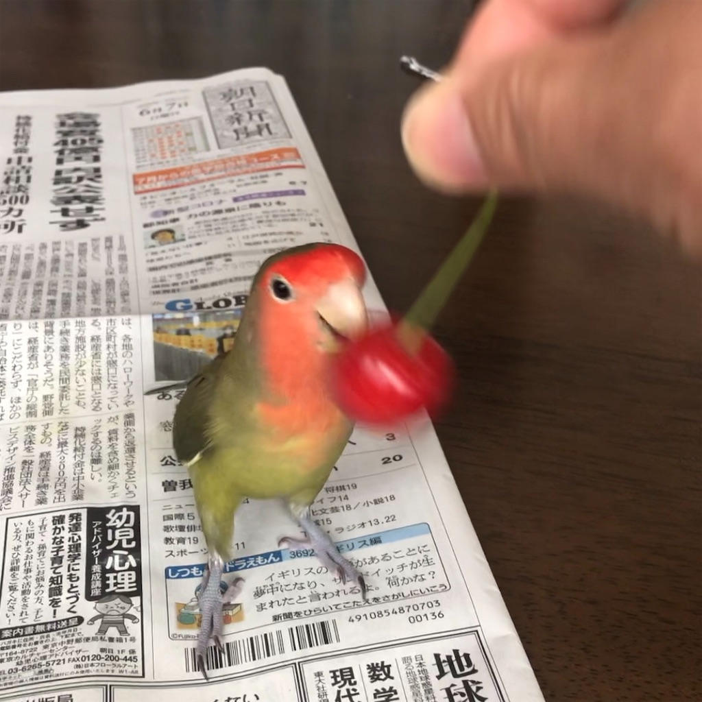 f:id:aufheben1007:20200607125459j:image