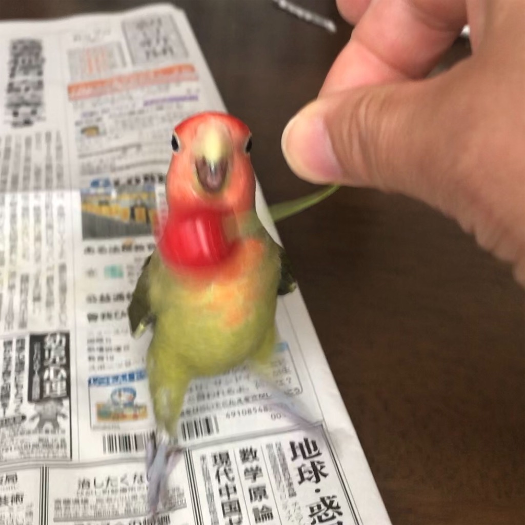 f:id:aufheben1007:20200607125507j:image