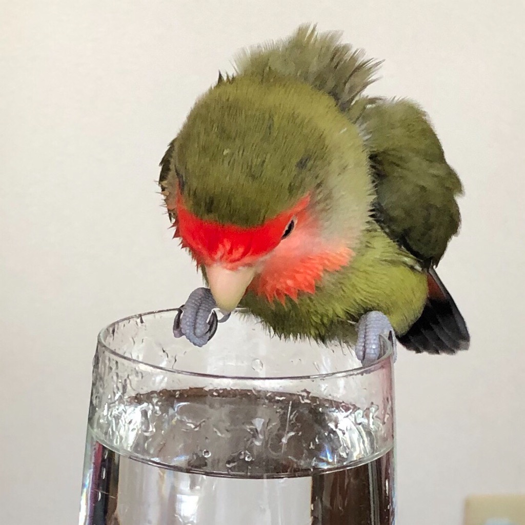 f:id:aufheben1007:20200709202035j:image