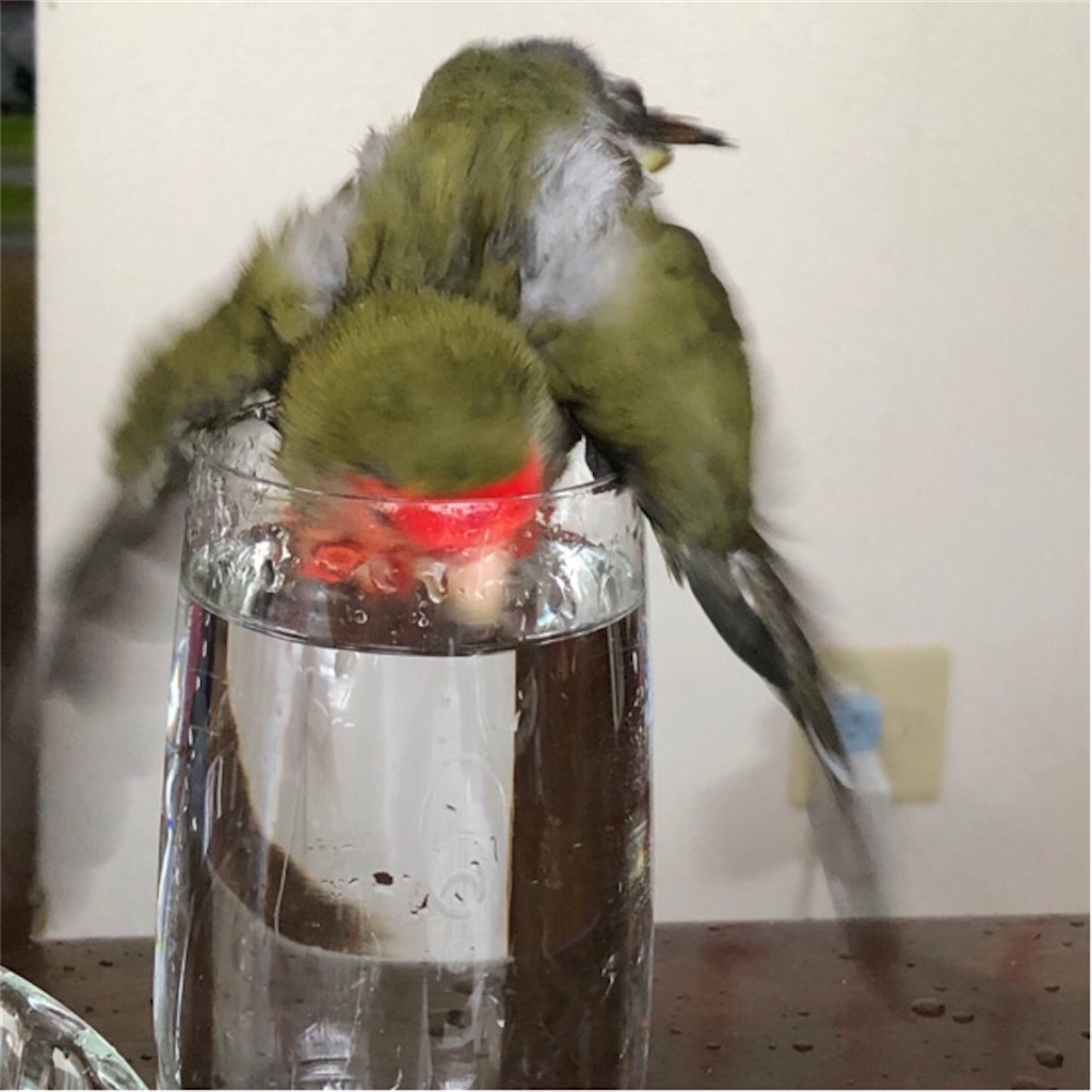 f:id:aufheben1007:20200709230704j:image