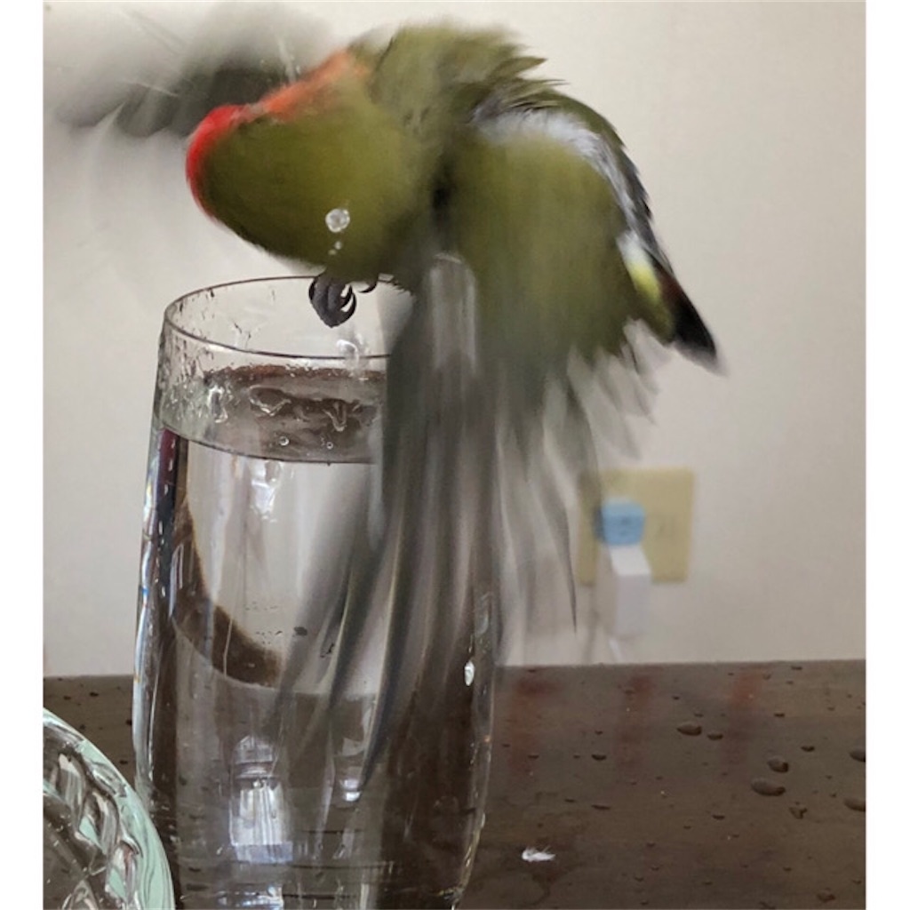 f:id:aufheben1007:20200709230932j:image