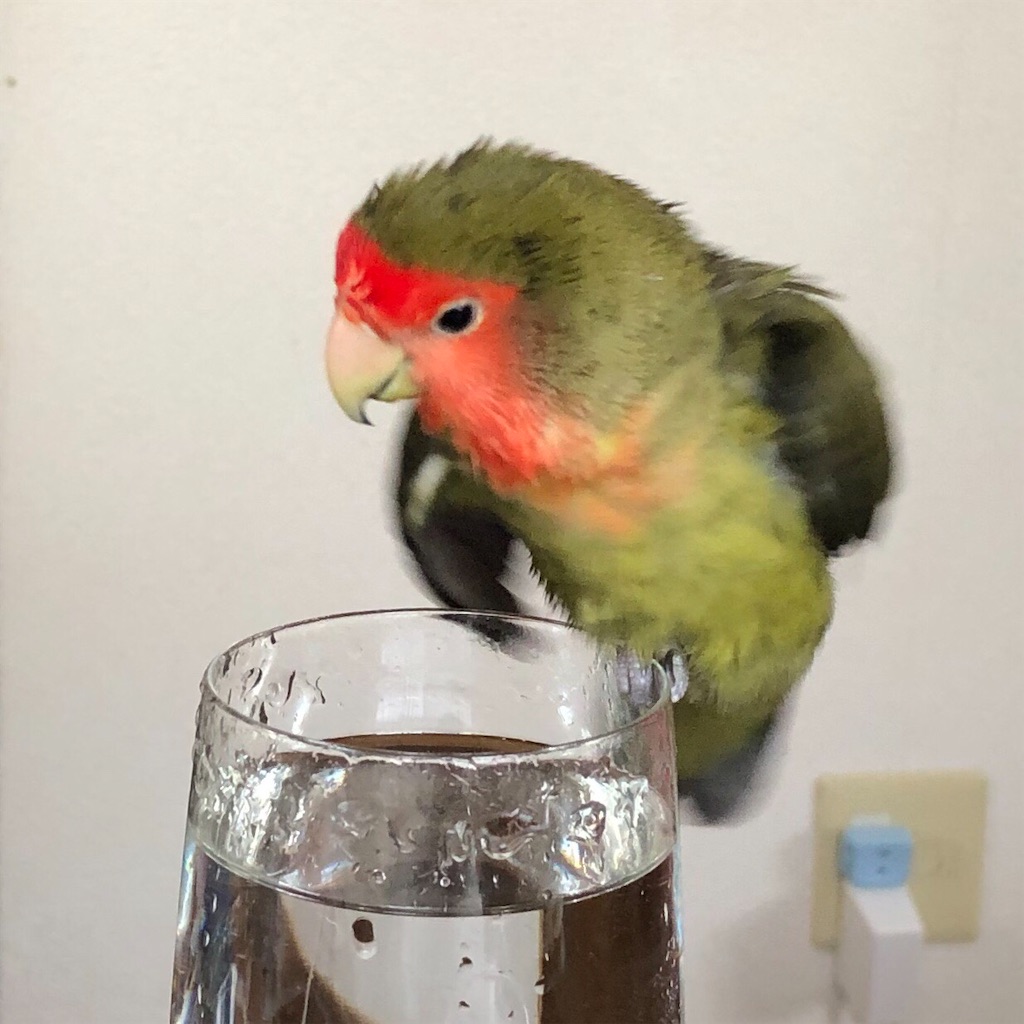 f:id:aufheben1007:20200709231317j:image