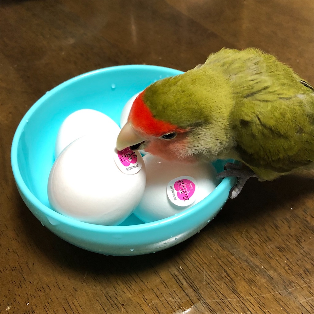 f:id:aufheben1007:20200715203355j:image