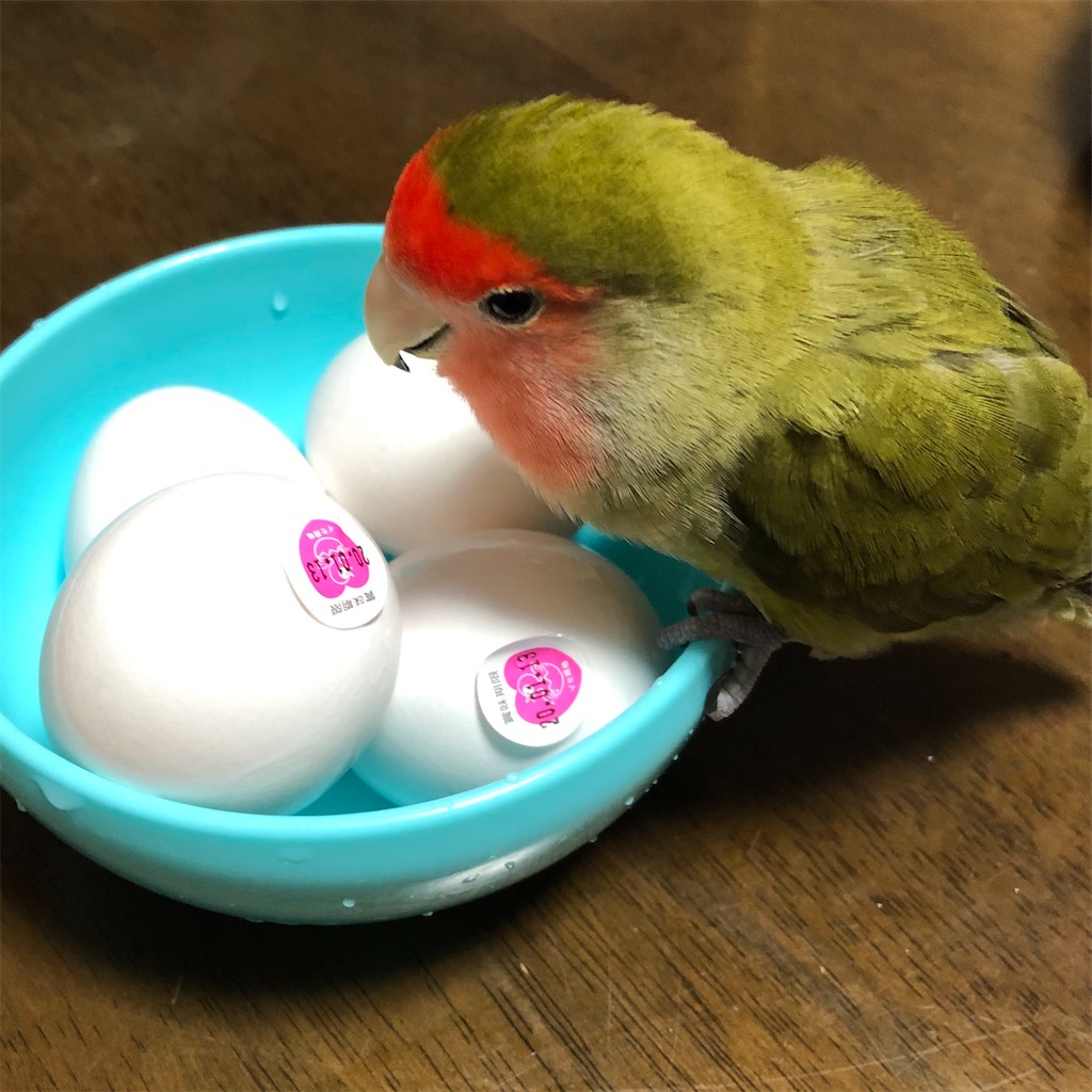 f:id:aufheben1007:20200715203358j:image