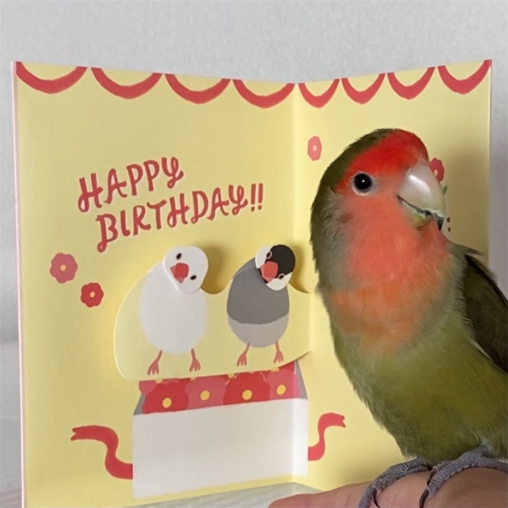 f:id:aufheben1007:20201024090456j:image f:id:aufheben1007:20201024090456j:image