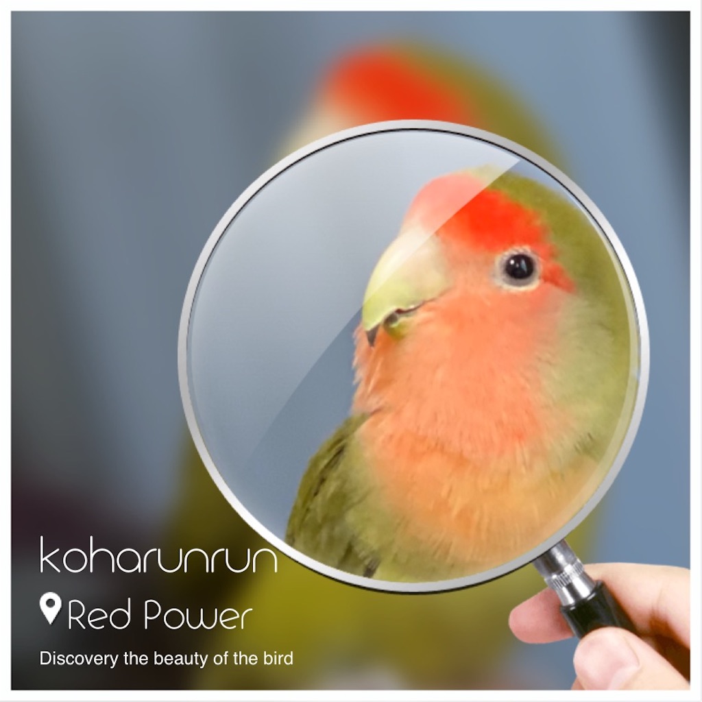 f:id:aufheben1007:20210313171319j:image f:id:aufheben1007:20210313171319j:image