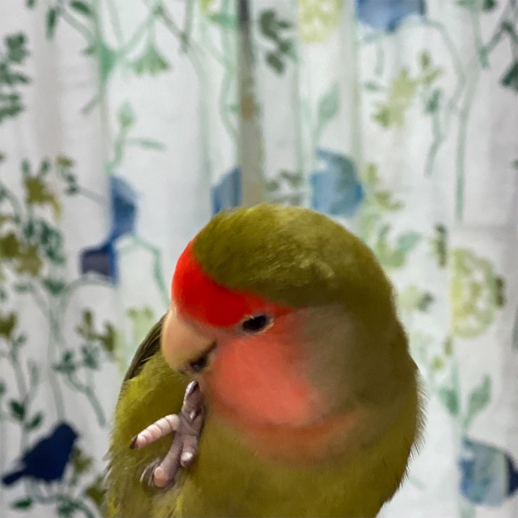 f:id:aufheben1007:20210323230434j:image f:id:aufheben1007:20210323230434j:image