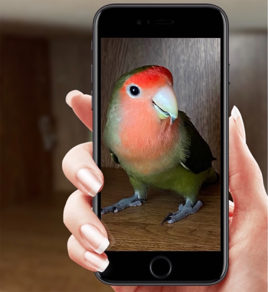 f:id:aufheben1007:20210430214044j:image