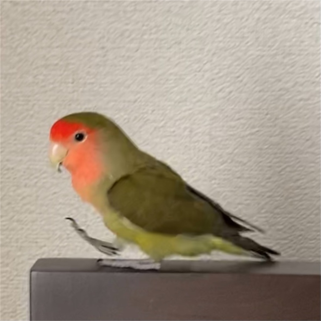 f:id:aufheben1007:20210501225853j:image