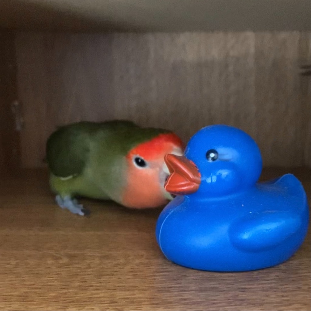 f:id:aufheben1007:20210520170758j:image