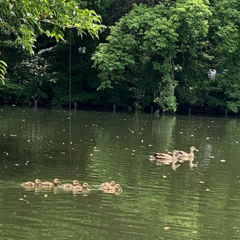 f:id:aufheben1007:20210620133933j:image