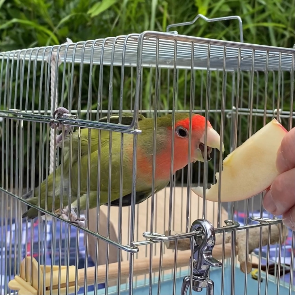 f:id:aufheben1007:20210620133937j:image