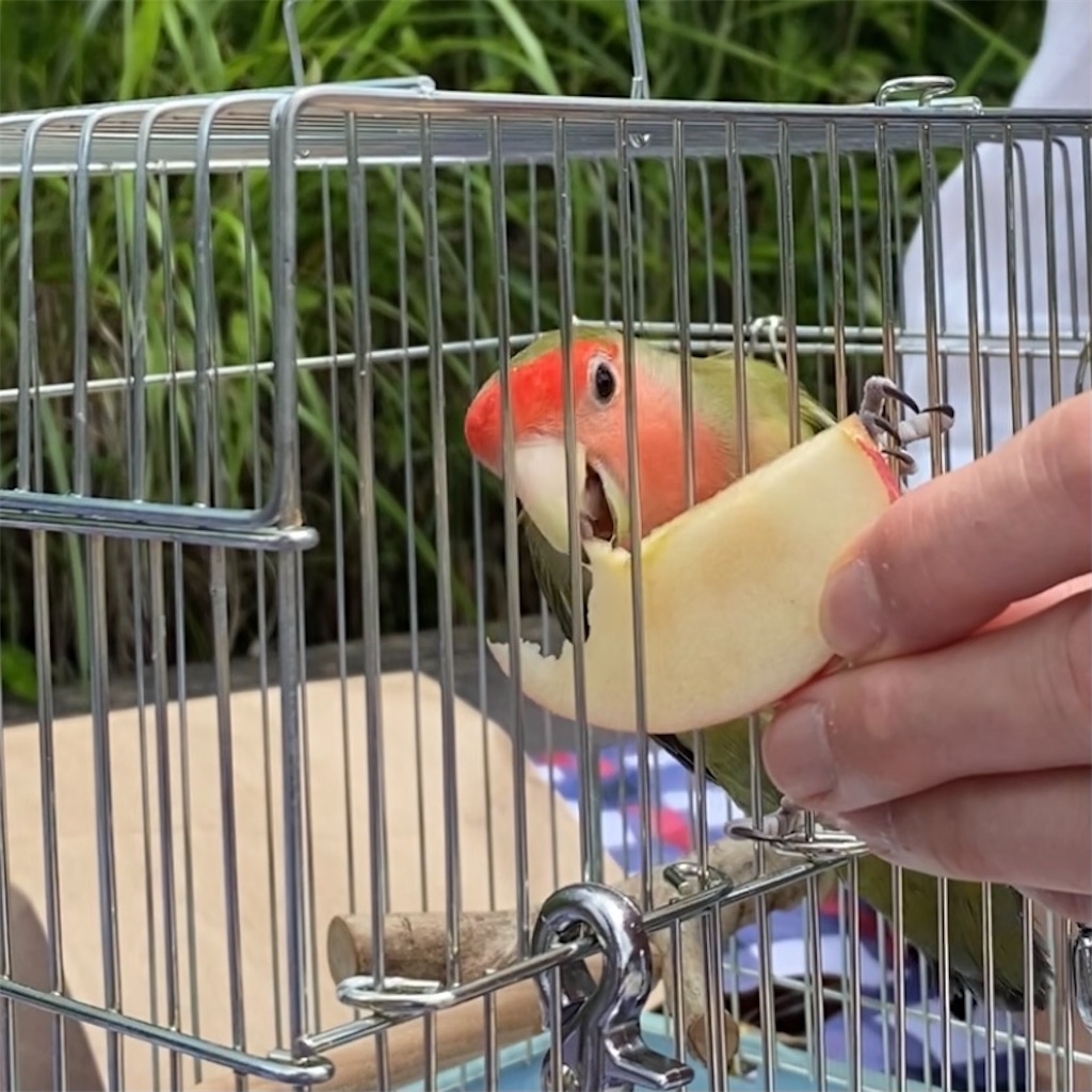 f:id:aufheben1007:20210620133945j:image