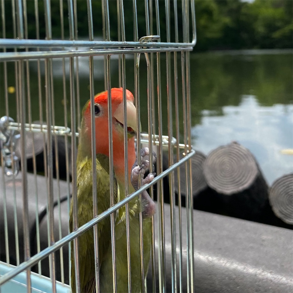 f:id:aufheben1007:20210620133953j:image