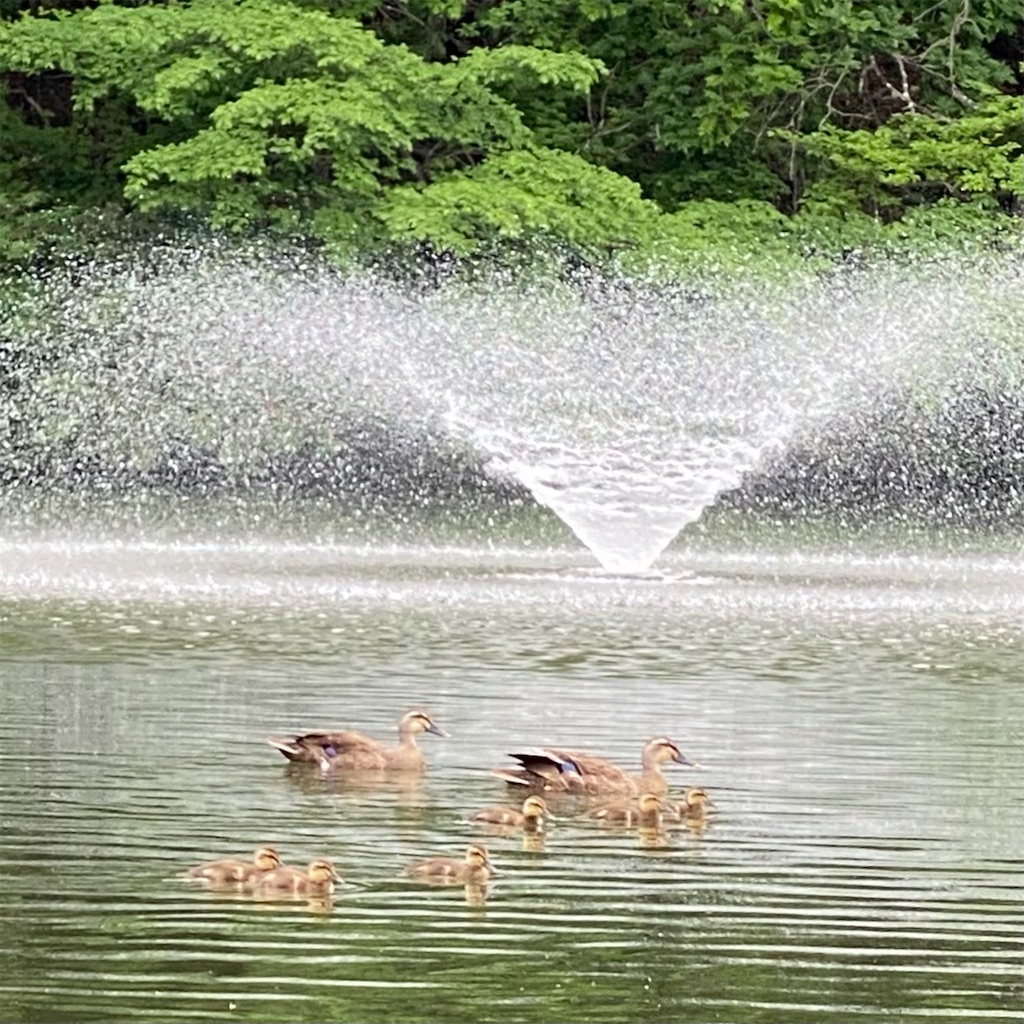 f:id:aufheben1007:20210620223921j:image