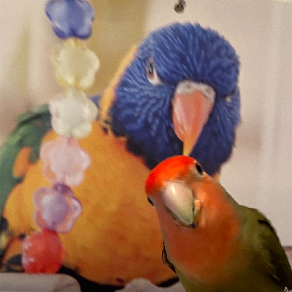 f:id:aufheben1007:20220211202358j:image