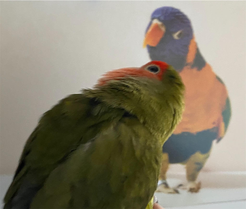 f:id:aufheben1007:20220211202406j:image