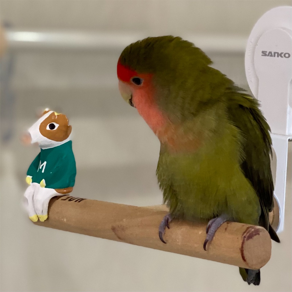 f:id:aufheben1007:20220313060442j:image