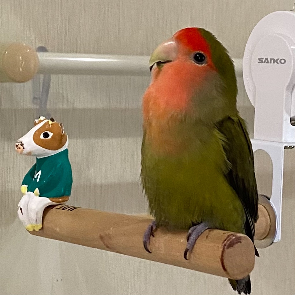 f:id:aufheben1007:20220313060512j:image